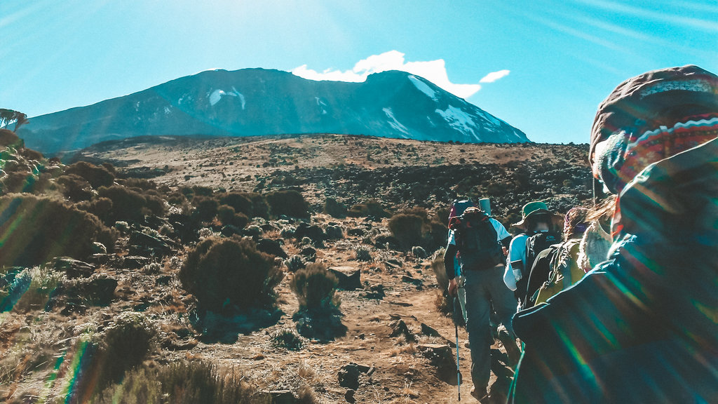 Hiking Kilimanjaro