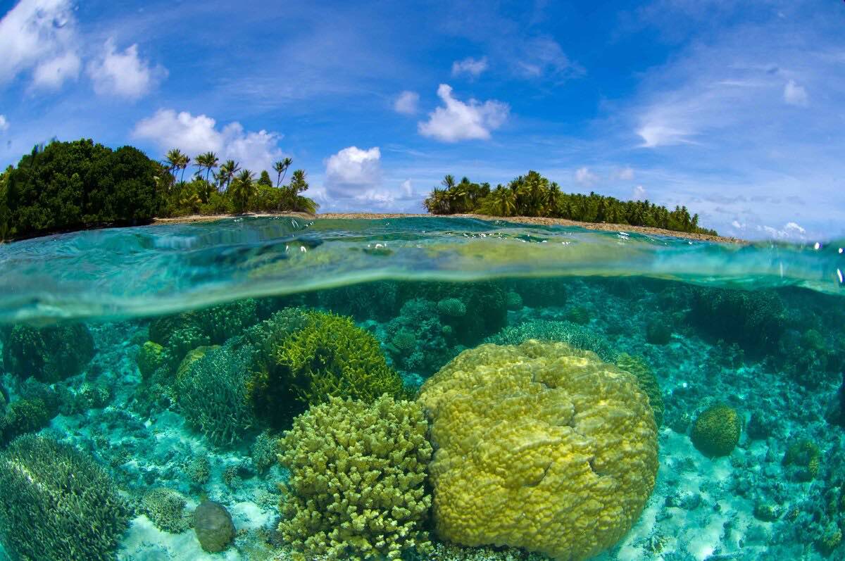 Coral reef over/under at the Marshall Islands