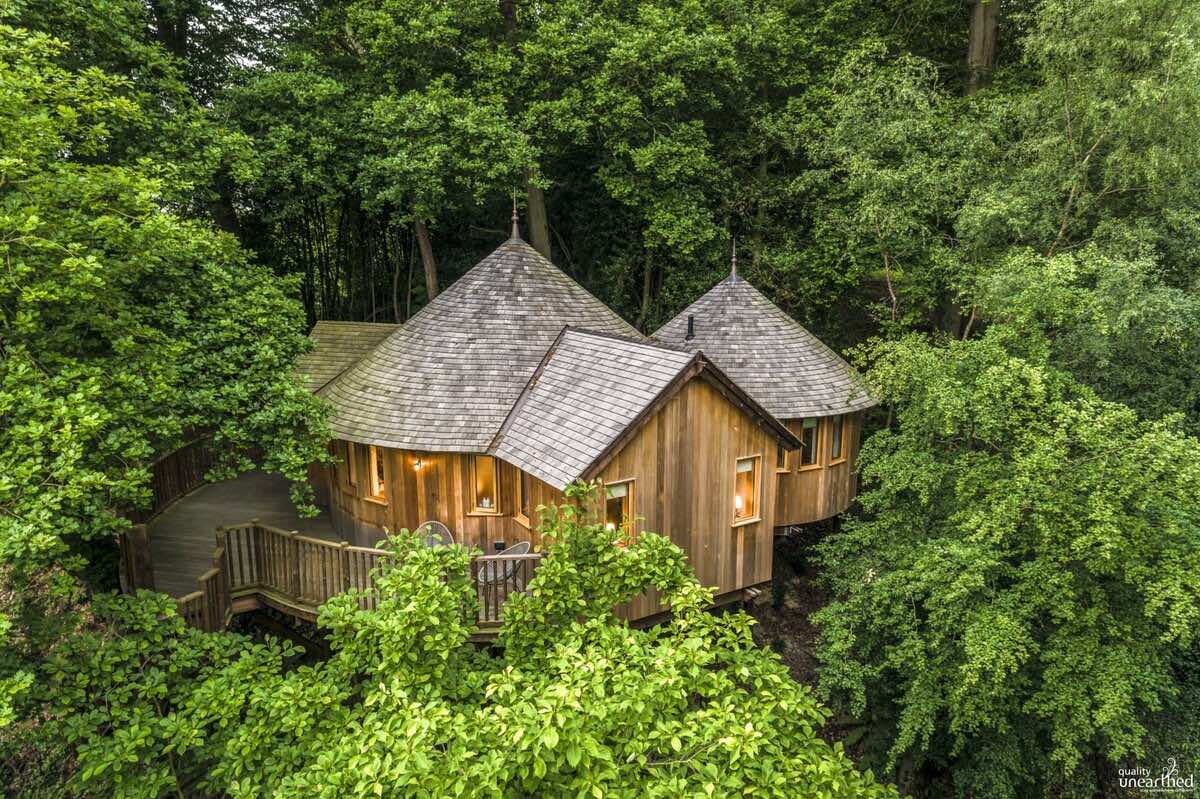 The Buzzardry Treehouse