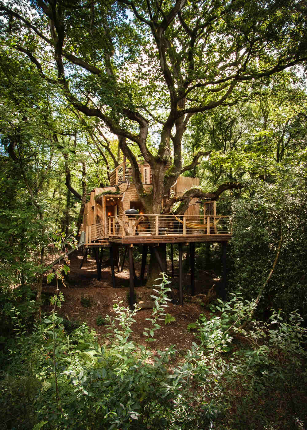 Woodmans Treehouse Dorset