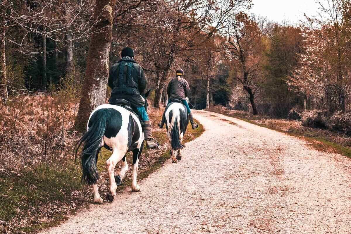 Horse-Riding UK
