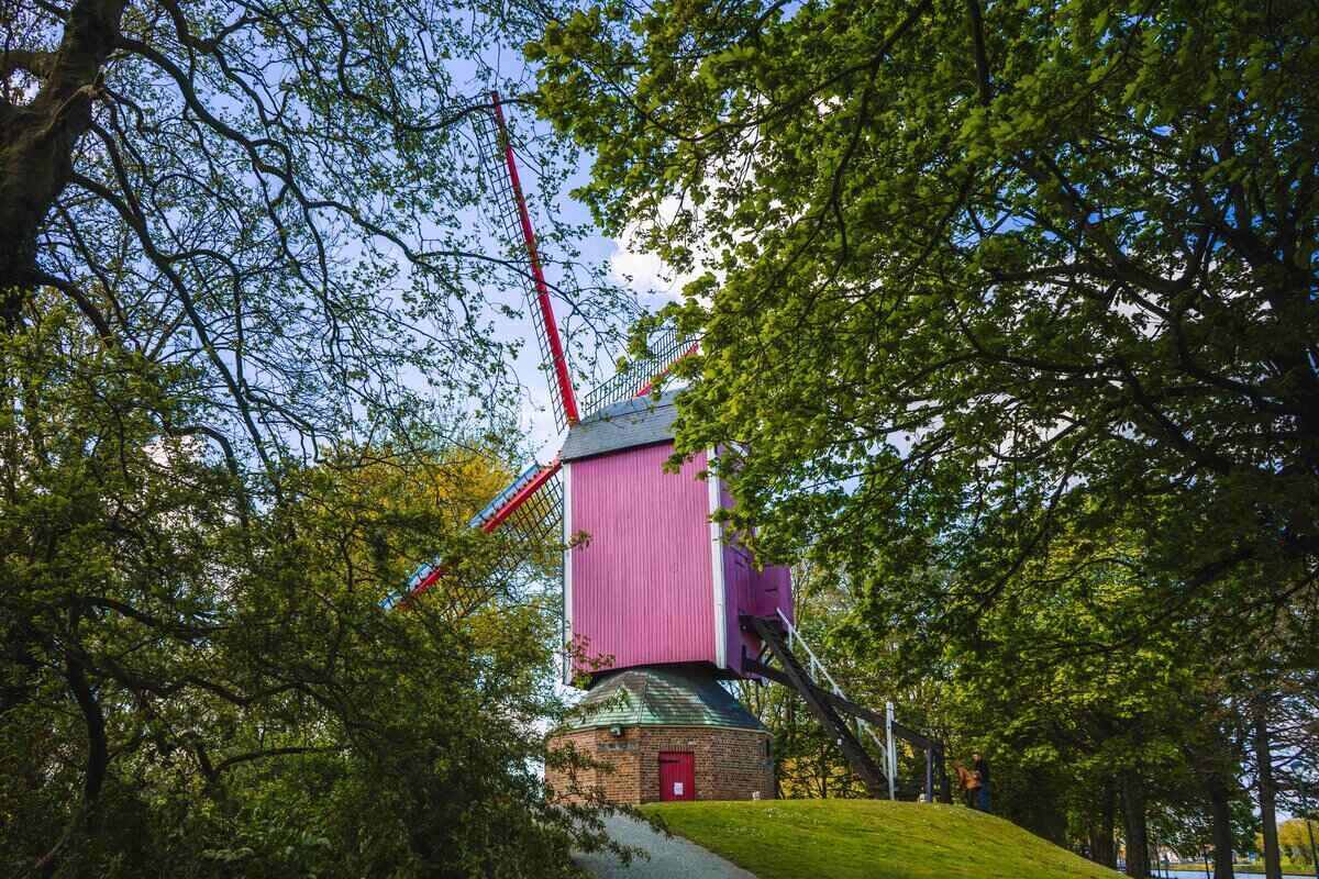 Bruges Pink Windmill