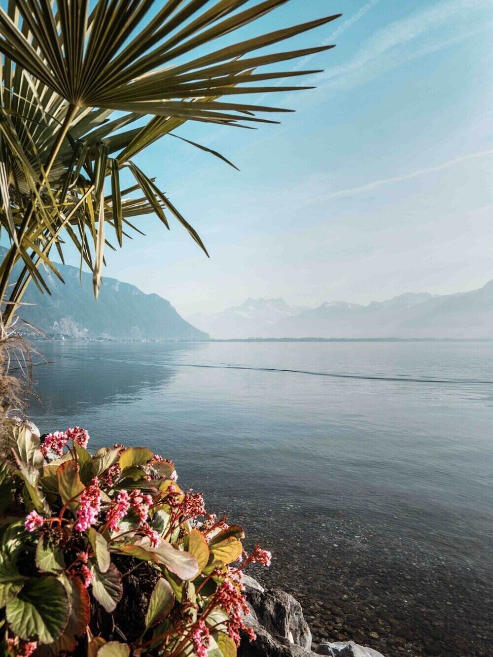 Lake Geneva In Montreux