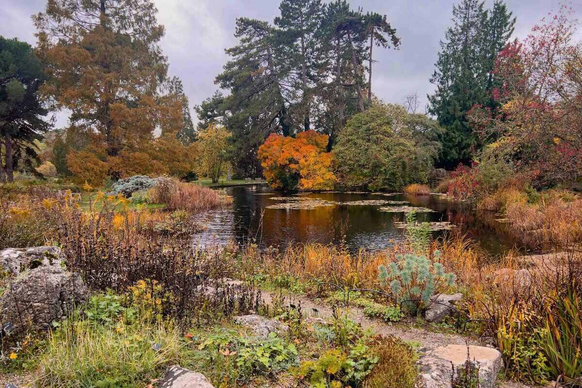 Botanic Gardens in Cambridge