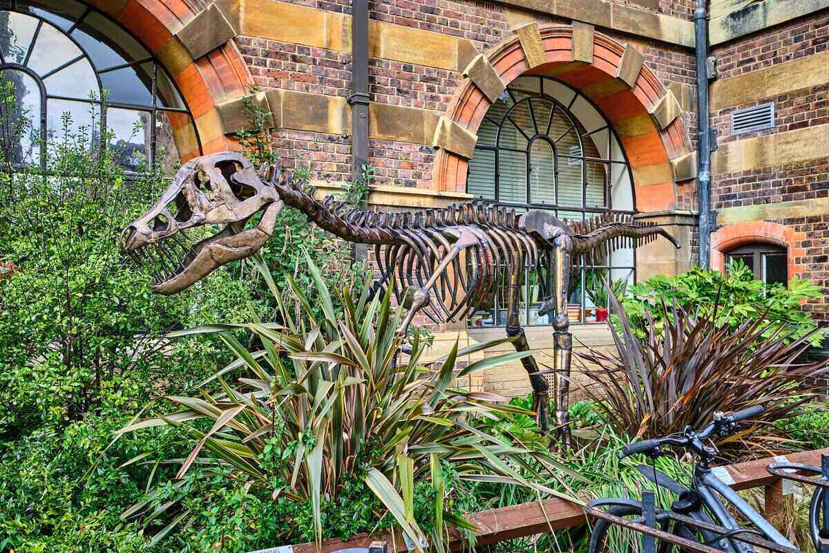 Sedgwick Museum of Earth Sciences Dinosaur Skeleton