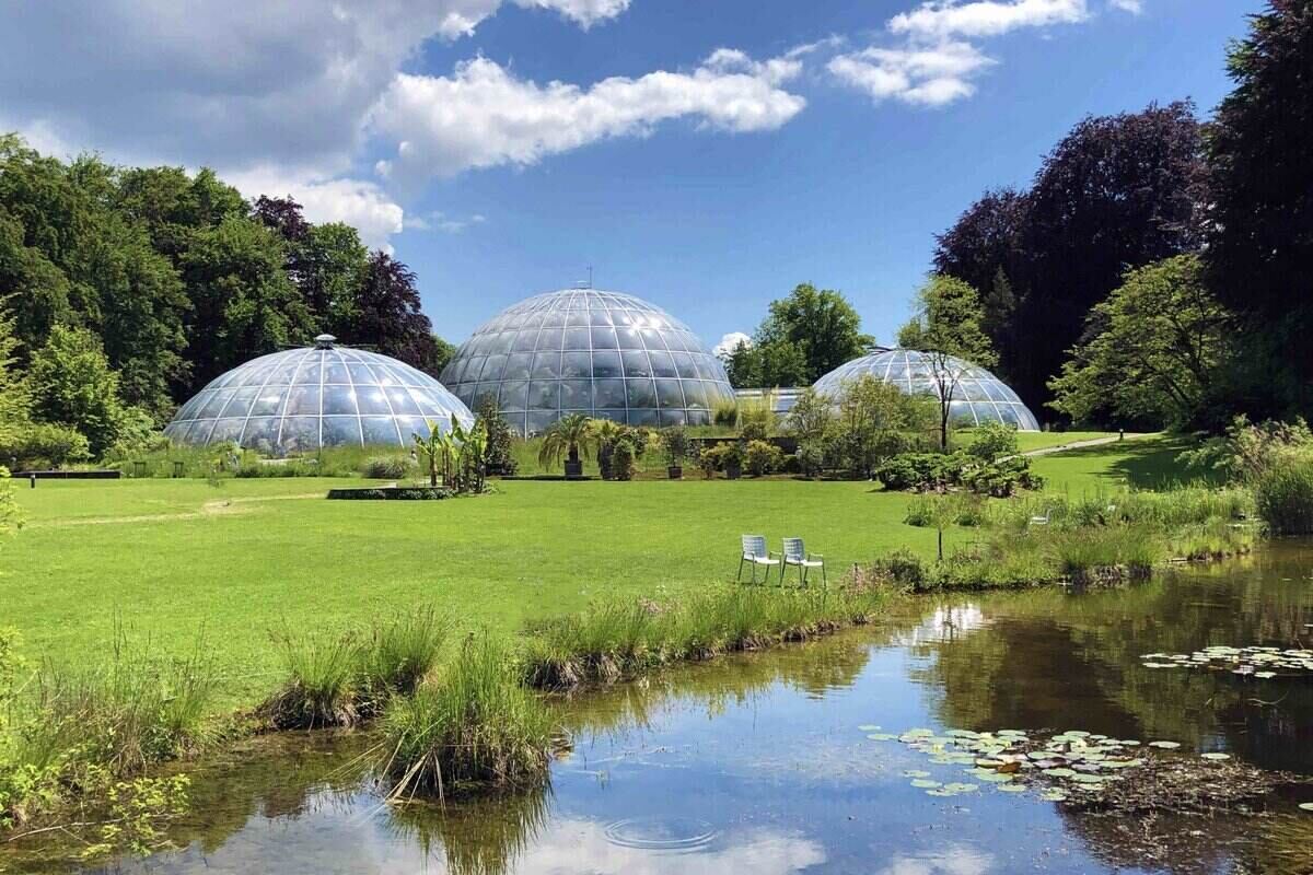 The Botanical Garden of the University of Zurich 