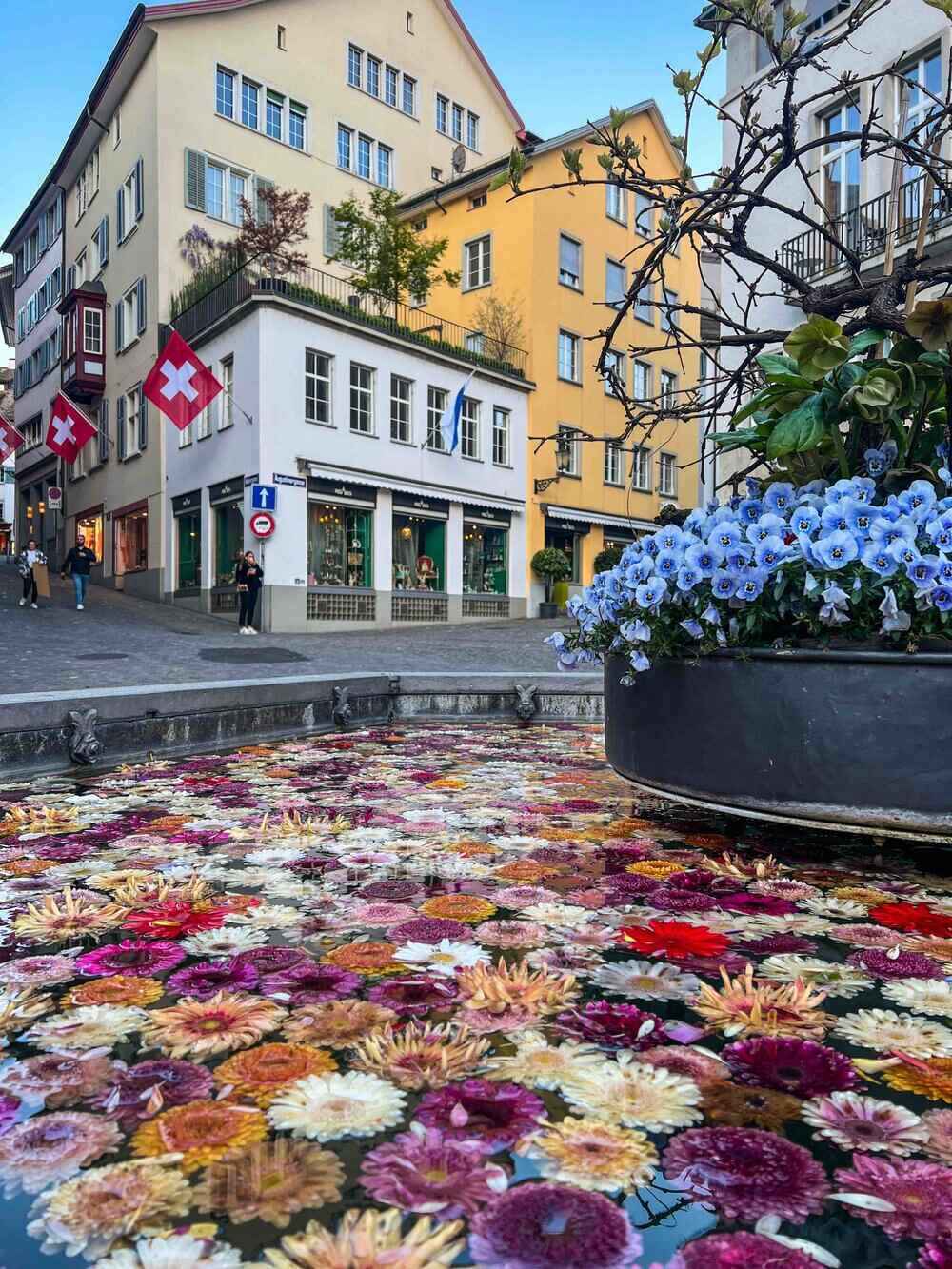 Zurich Flower Fountain