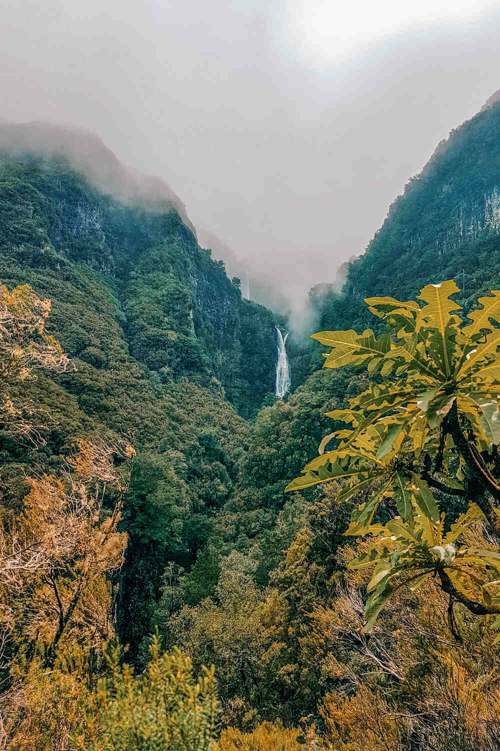 Madeira Waterfall