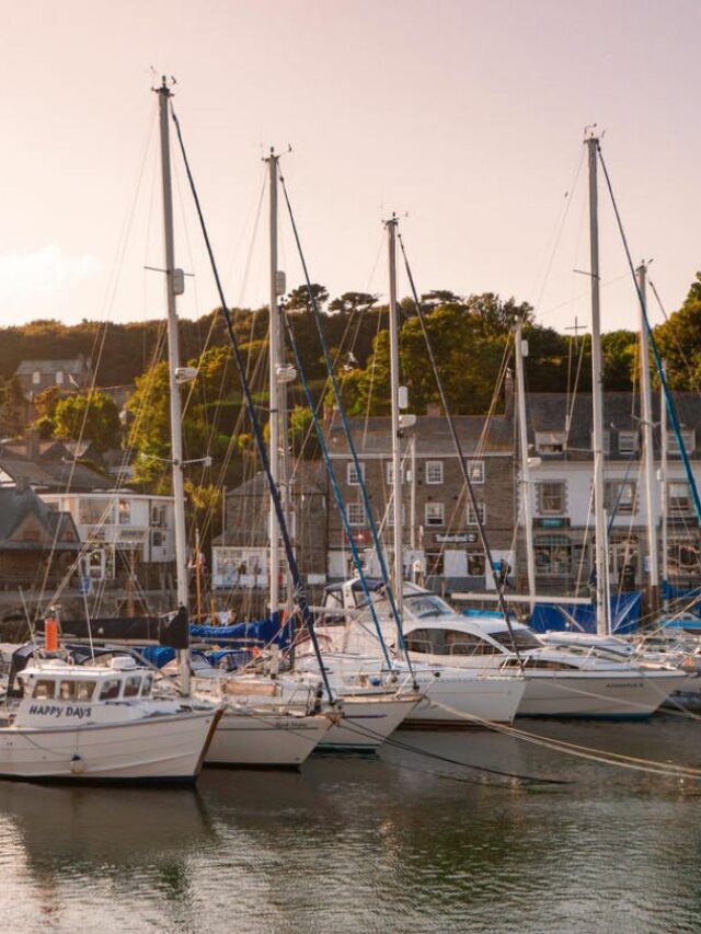 15 Amazing Things To Do in Padstow, Cornwall