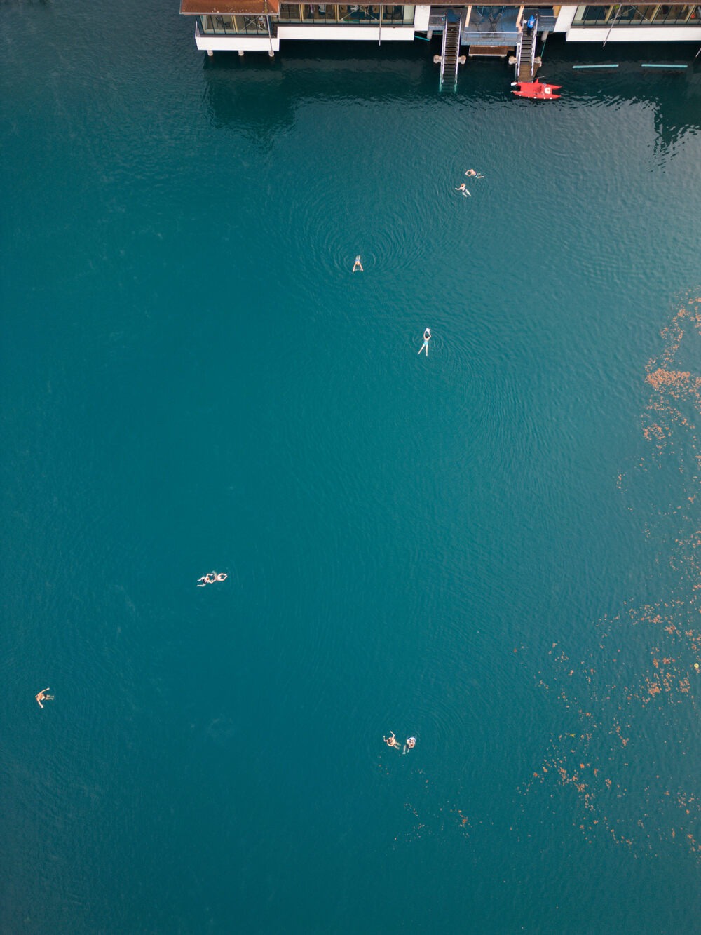 Swimmers in Heviz Lake