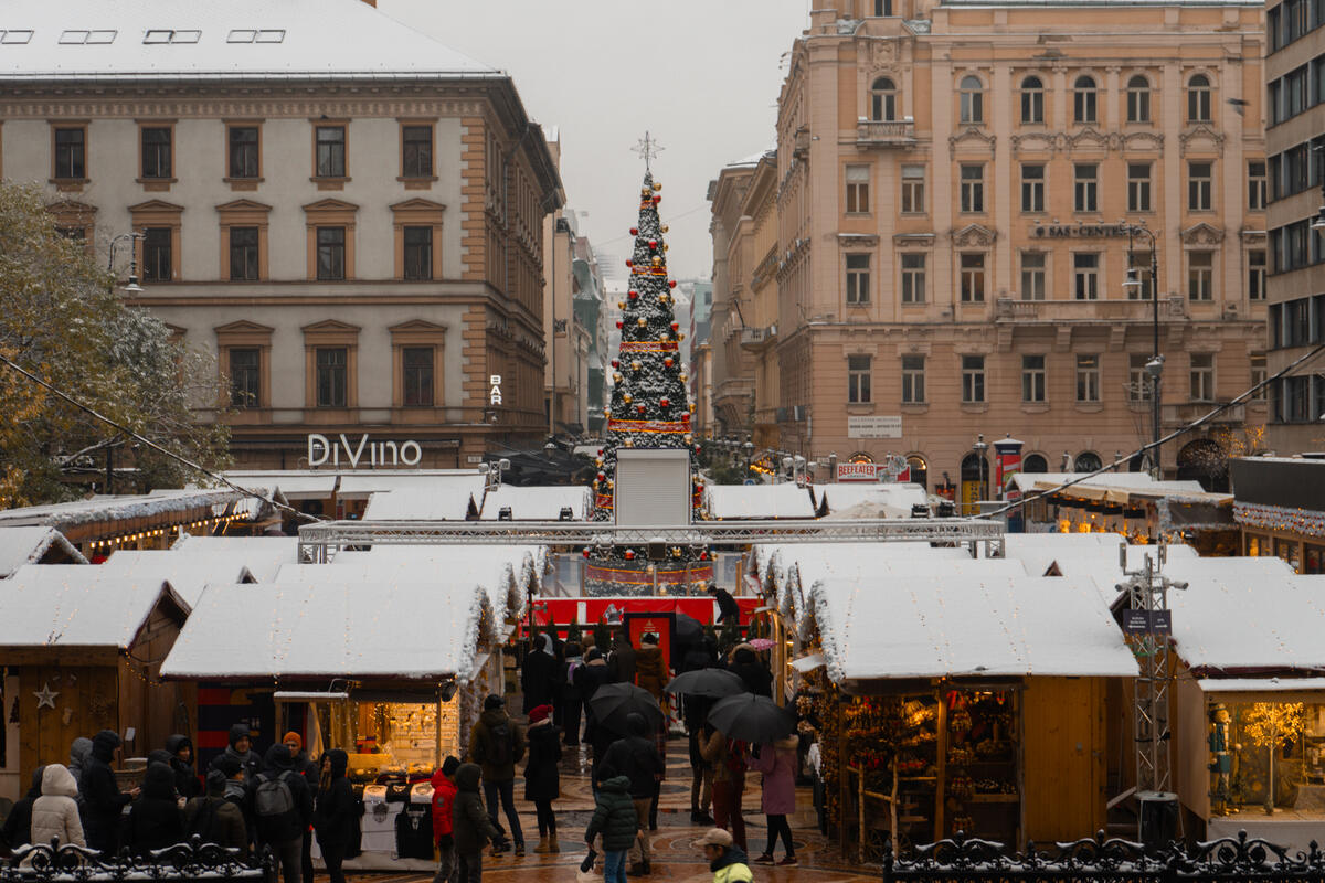 Snowy Christmas Markets Budapest