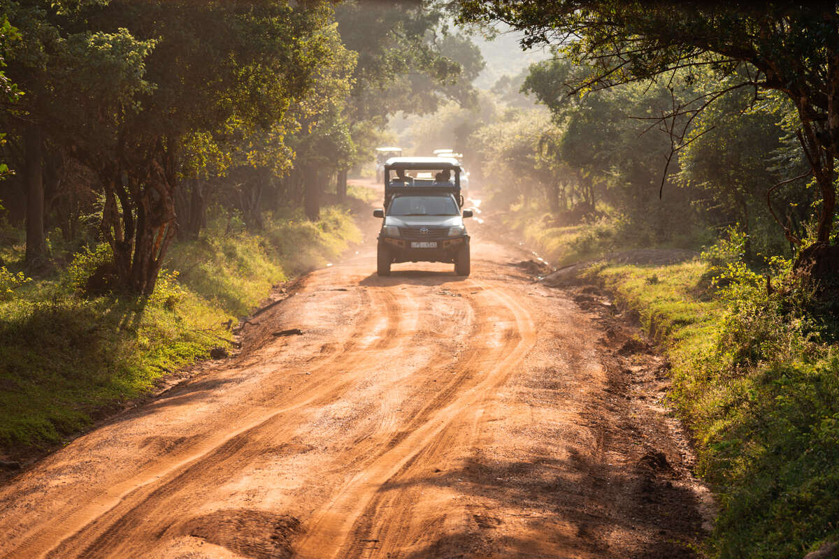 Jeep Safari in Yala National Park